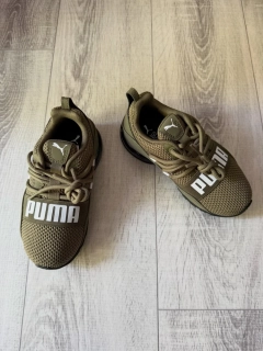 Puma Cell Regulate